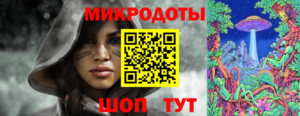 Псилоцибиновые грибы мицелий Отрадный